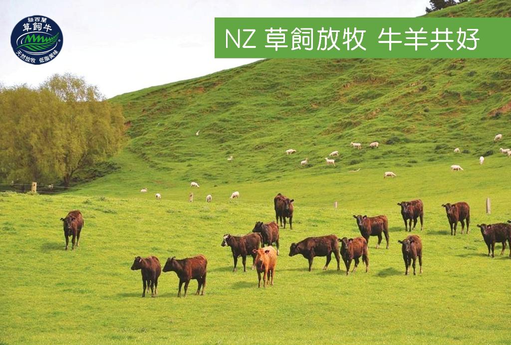 牛羊食用17c嫩草饲料-适口性98%以上